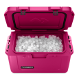 Dometic Eisbox-Passivkühlbox Patrol 55, Farbe: Orchid