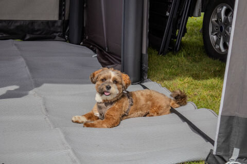 Telta Vorzeltteppich f. Lounge S19/20