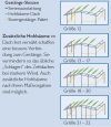 Premium Metallsysteme Sturmgestänge-Paket Gr.21-22 / (25/22 mm Ø) Stahl